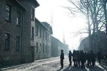 Auschwitz to Krakow Shared Tour