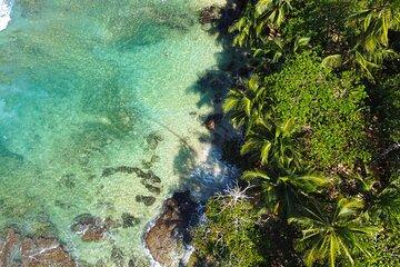 Caribbean Coast Private Tour in Costa Rica