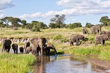 Arusha Tanzania Private 4WD 7 Day Tour
