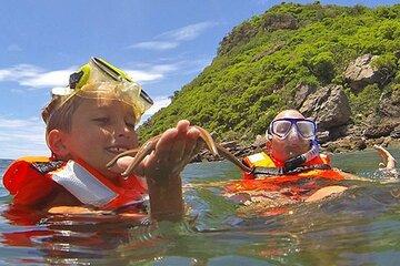 Mazatlan Island Exploration Activity
