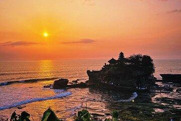 Ubud Monkey Forest, Rice Terrace and Tanah Lot Sunset Tour