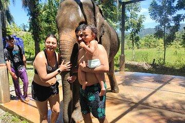 Experience Krabi Elephant care and bath in Ao Nang