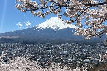 Mt.Fuji Highlights Day Tour from Shimizu Port with japanese guide