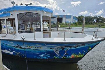 Dancin' Dolphin: 90-minute Booze Cruise for Up to 20 Guests
