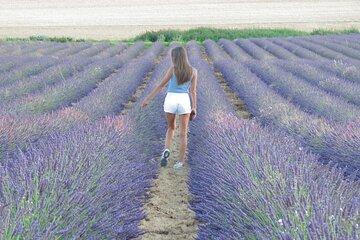 True Provence Road Trip Scenic Waters Wine and Lavender Sunset