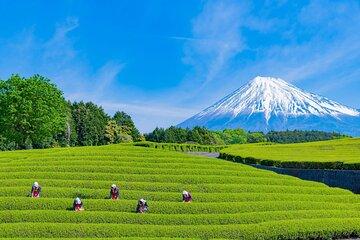 Mt. Fuji Viewing and Unique Experience with High Schoolers