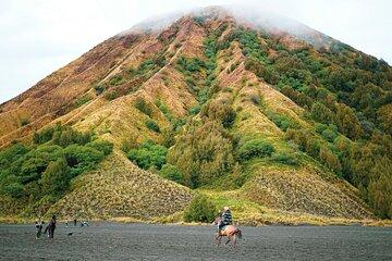 From Yogyakarta to Bali : Bromo and Kawah Ijen in 3 Day Adventure