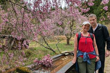 8-Hour Nakasendo Hike from Nagoya – Licensed Guide & Private Car