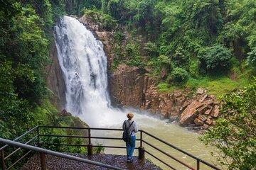 Khao Yai Waterfalls, Deer Spotting & Jungle Walks - Driver Only