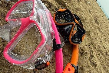 Snorkeling and Sightseeing Tour Explore Puerto Rico Marine Life