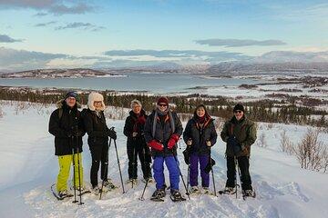 Arctic Snowshoeing Experience
