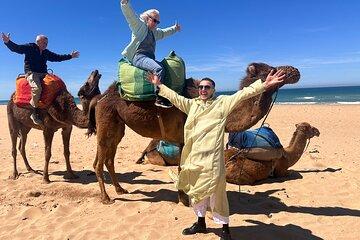 Guided Day Trip from Estepona to Tangier