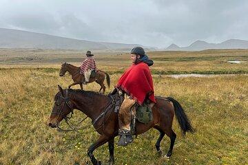 Cotopaxi Horseback Riding Tour