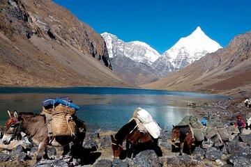 Druk Path Trekking Paro from Bhutan to Thimphu 8 Nights 9 Days