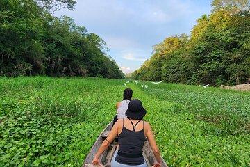 Amazon Jungle Tour From Iquitos (4 Days)