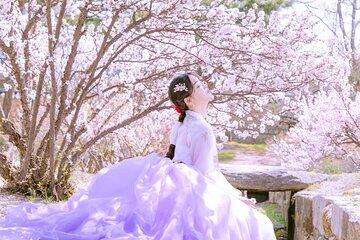 Seoul Premium Hanbok Rental at Arihanbok Photoshoot Included