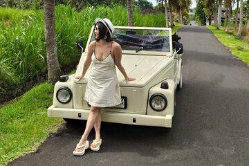 Ubud VW Tour with Monkey Forest and Cooking Class