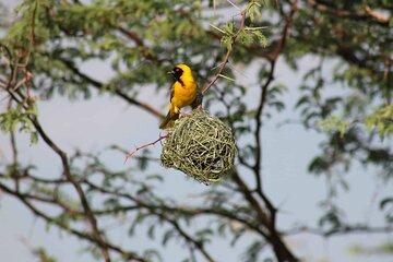Victoria Falls Adventure for 3 Days Shared tours