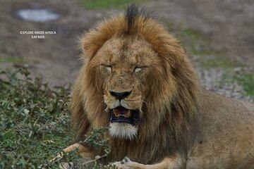 3-Day Safari in Serengeti National Park and Ngorongoro crater