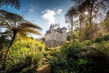 Sintra walking tour & Tasting