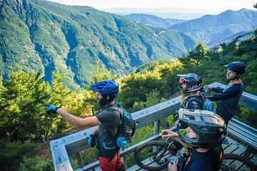 3 Day Shuttle MTB Weekend Adventure in Nelson