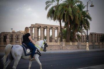 Riding Tour - Explore Luxor City on Horseback