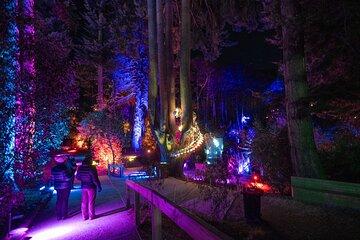 LUMA Enchanted Whimsical Sensory night walk