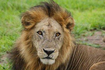 Dar es Salaam 3-Day Private Adventure