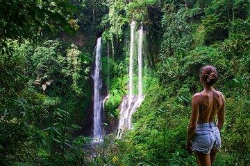 Hidden Bali Gems Sekumpul, Sacred Temples and Jatiluwih
