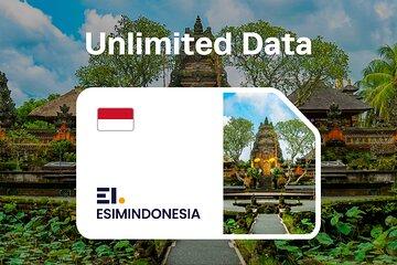 Esim Rental in Indonesia