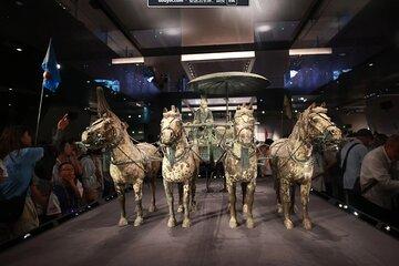 Customized Private Day Tour of Terracotta Warriors and Xian