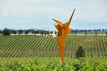 Premium Wine Escape Fine Wines and Wine Museum