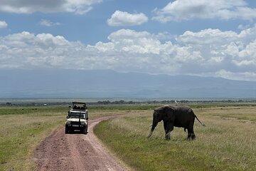3 Days Amboseli Safari Game Drives Under Kilimanjaro Snows