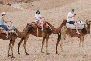 Agafay Desert Camel Ride and Quad Biking with Dinner and Show