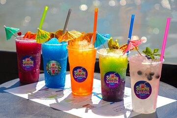 Unlimited Slushy Cruise on the Danube