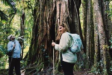 Tamblingan Jungle Trekking All-Inclusive: Hikes & Canoe Adventure