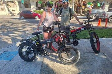 Rent DE electric bikes E-bikes