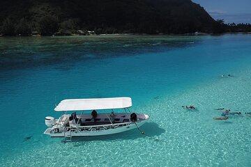 Snorkeling Lagoon Cruise and Whale Watching in Moorea