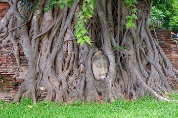 Private Ayutthaya Ancient Temple and Floating Market Day Tour