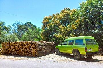 Half Day Mountain Jeep Safari with Firewater Tasting