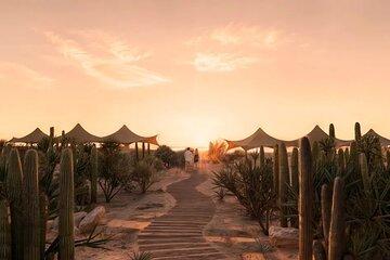 All inclusive Beach and Kids Adventure Park Experience