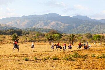 All-Day Family Thrill: 8 Experiences, One Trip!