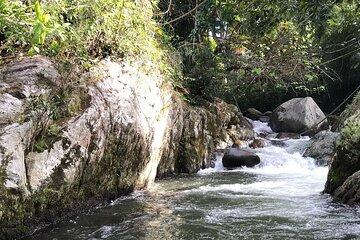 Full-Day Tour in Minca: Hiking, Waterfalls, Coffee and Cocoa
