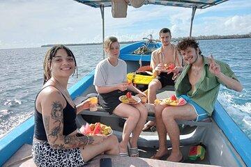 Wasini Island Tour: Dolphin Spotting & Snorkel at Kisite Mpunguti