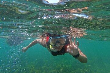 Snorkelling in the Prof Luiz Saldanha Marine Reserve
