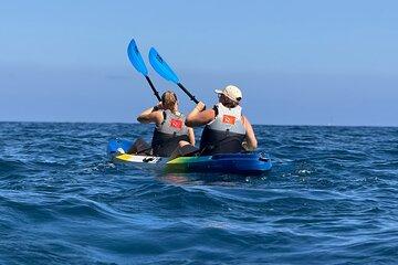Kayak and Snorkeling Adventure between Volcanic Rocks and Marine Life