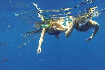 Marine Safari by MUNBA Expedition