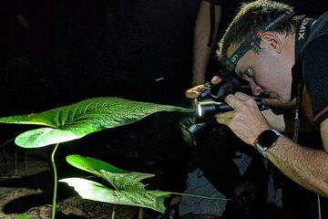 Night Safari EN the jungle DE Panama