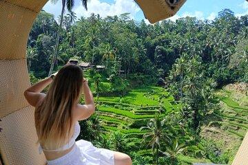 Discover Magical Ubud by Day Tour