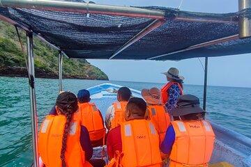 Paradise Islands Tour from RIU Playa Blanca and Buenaventura